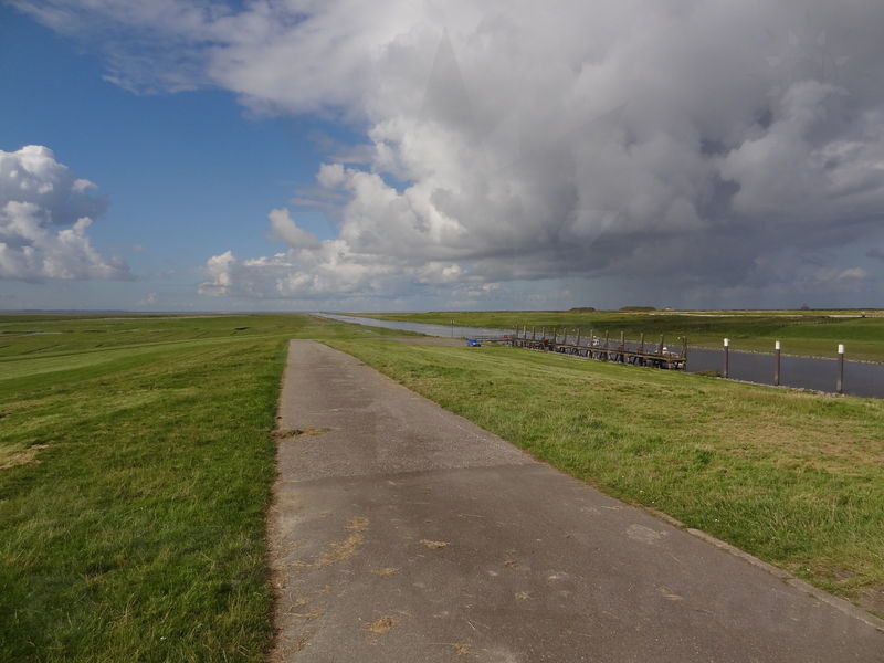 elbe-friedrichskoog-05.jpg